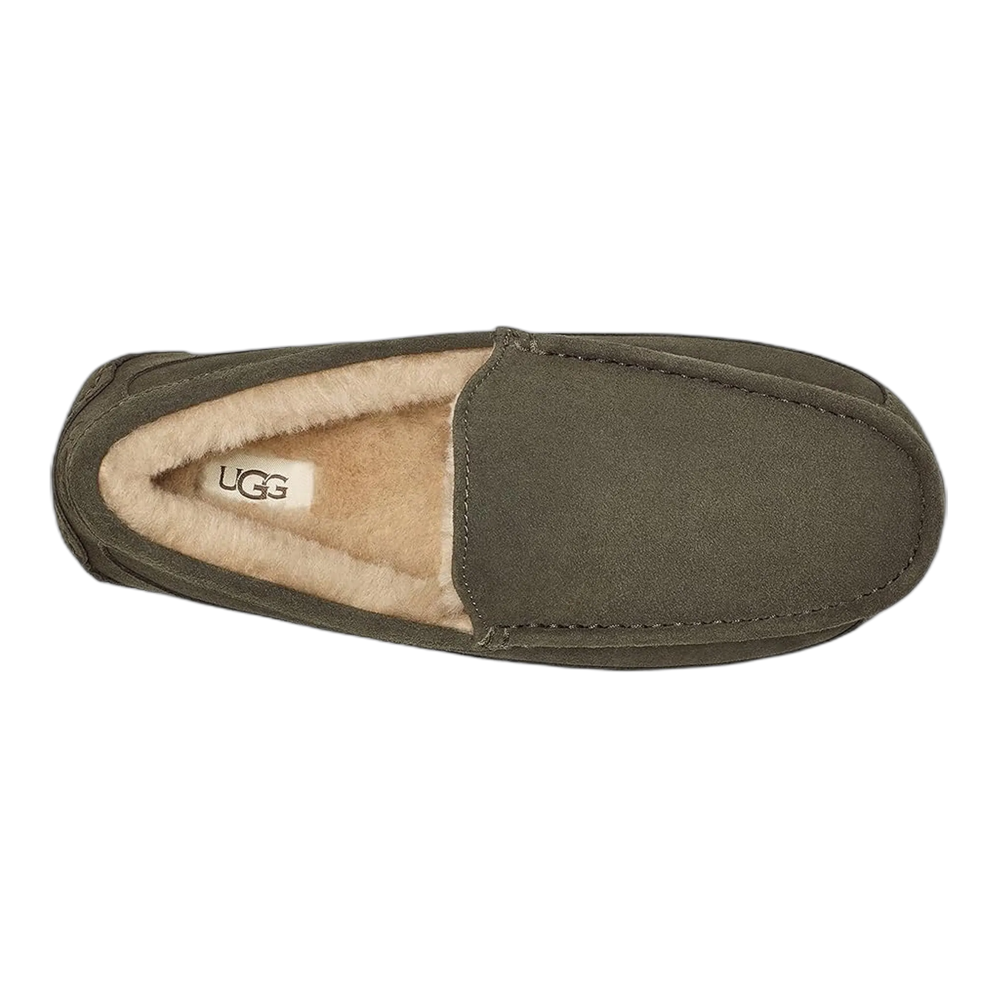 Men's Ascot Slipper